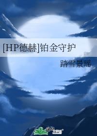 [HP德赫]铂金守护