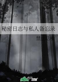 秘密日志与私人备忘录