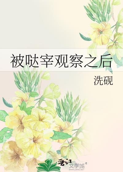 被哒宰观察之后