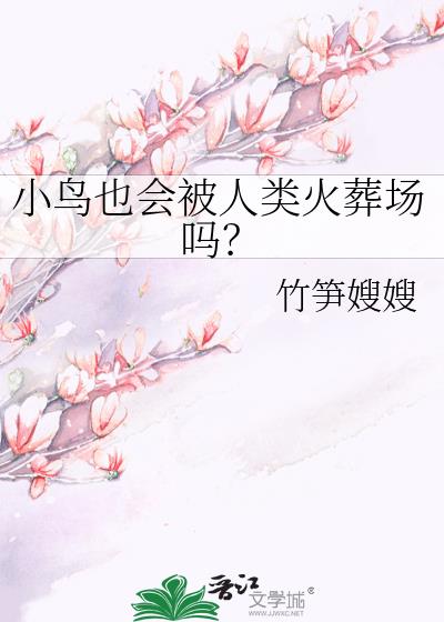 小鸟有天堂的眼睛