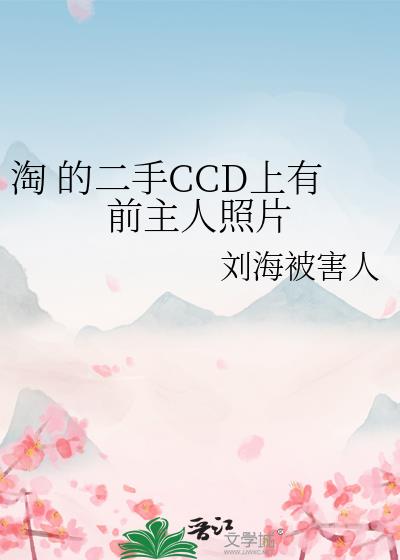 淘 的二手CCD上有前主人照片