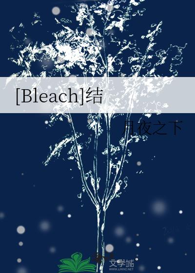 [Bleach]结