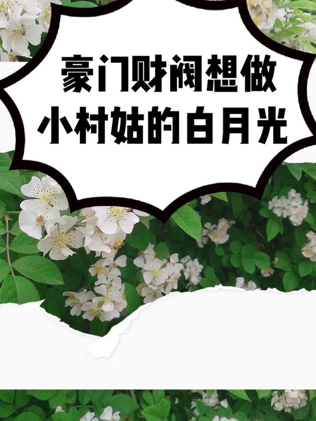 豪门财阀想做小村姑的白月光